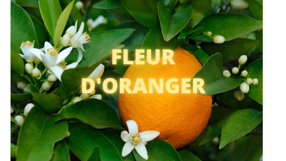 Orange blossom in perfume